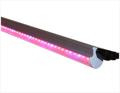 T8 Integrated Grow Light