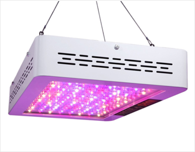 High Bay Grow Light